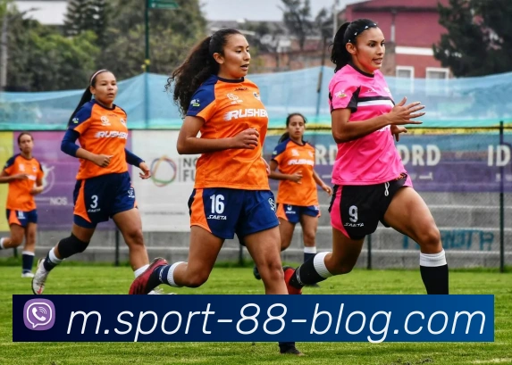 88体育APP 高清赛事图